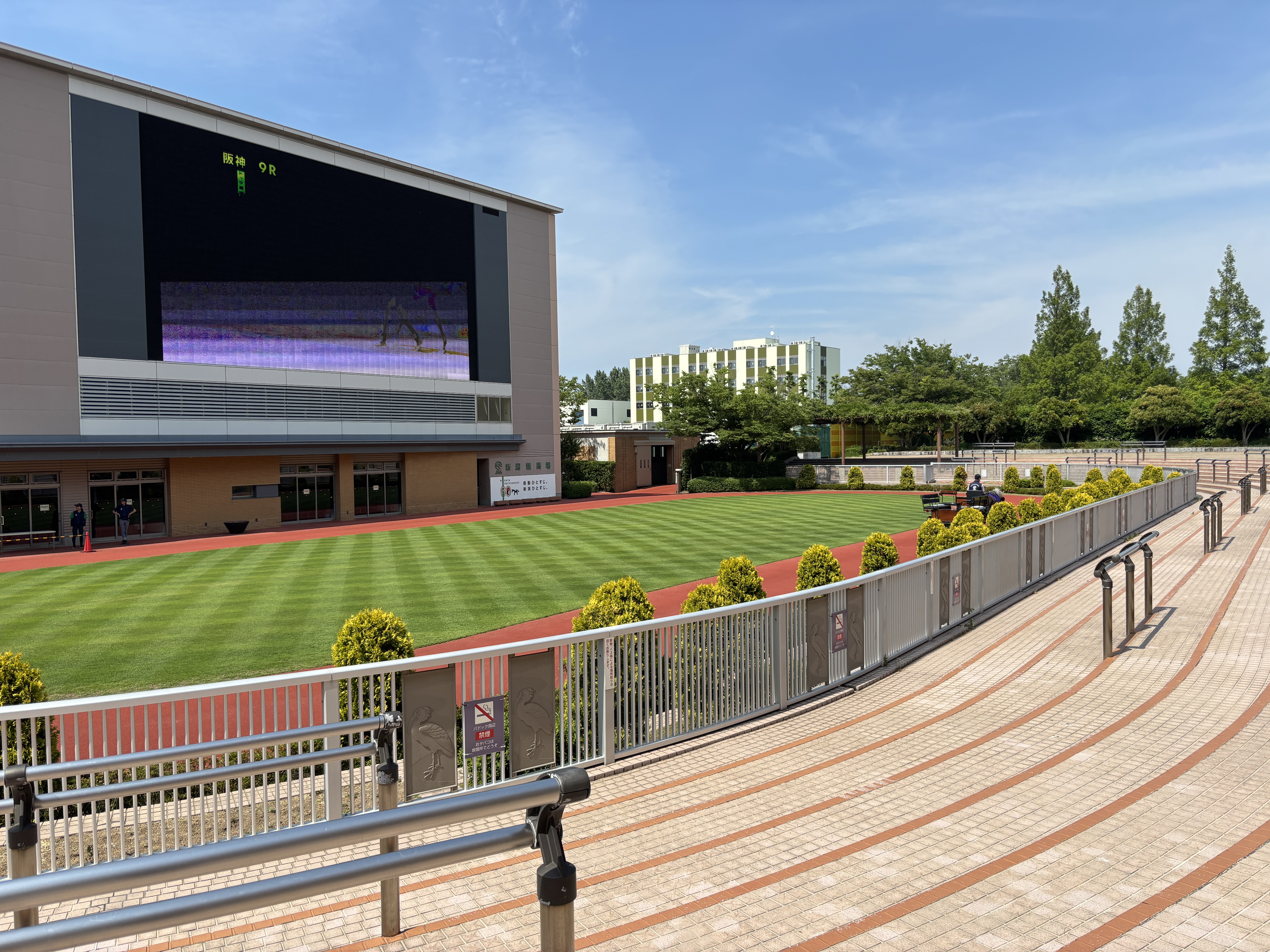 新潟競馬場 スマートシート おすすめ