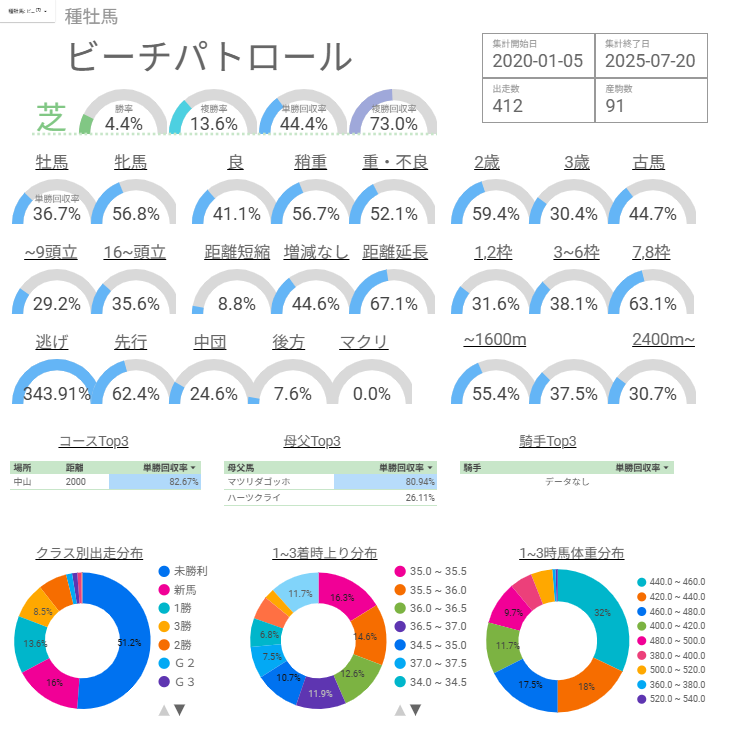 ビーチパトロール産駒 特徴
