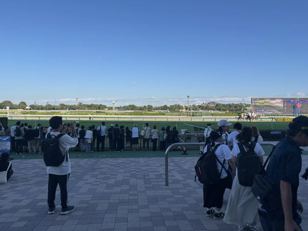 中山競馬場 スマートシート おすすめ