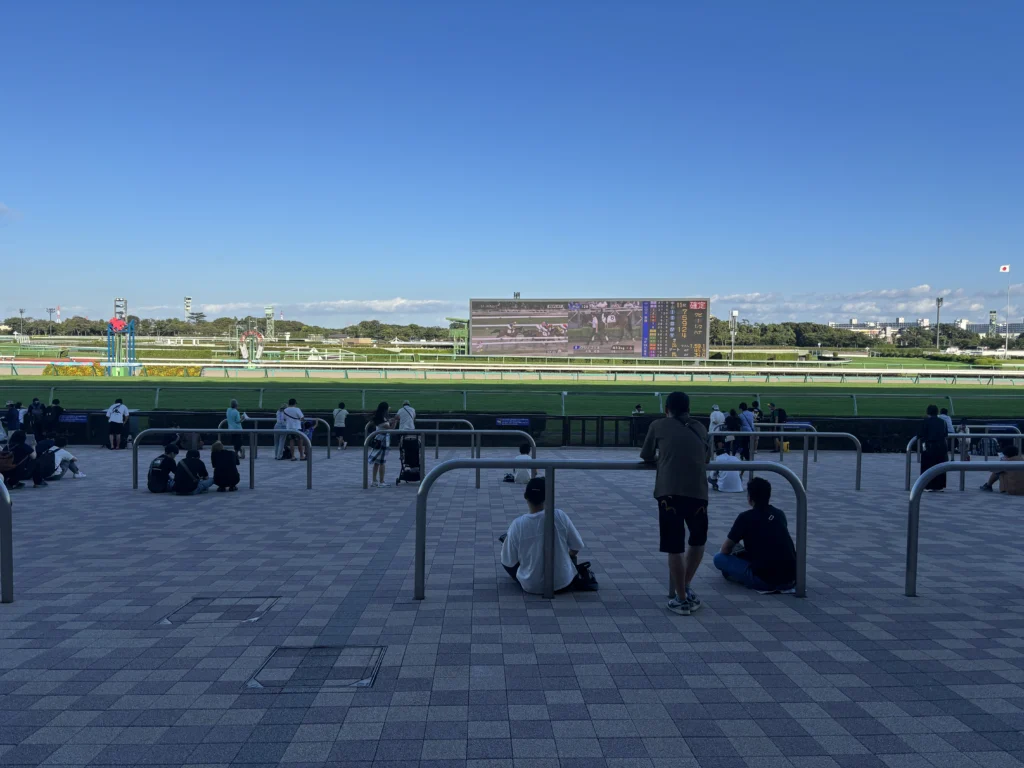 中山 競馬 場 指定 席