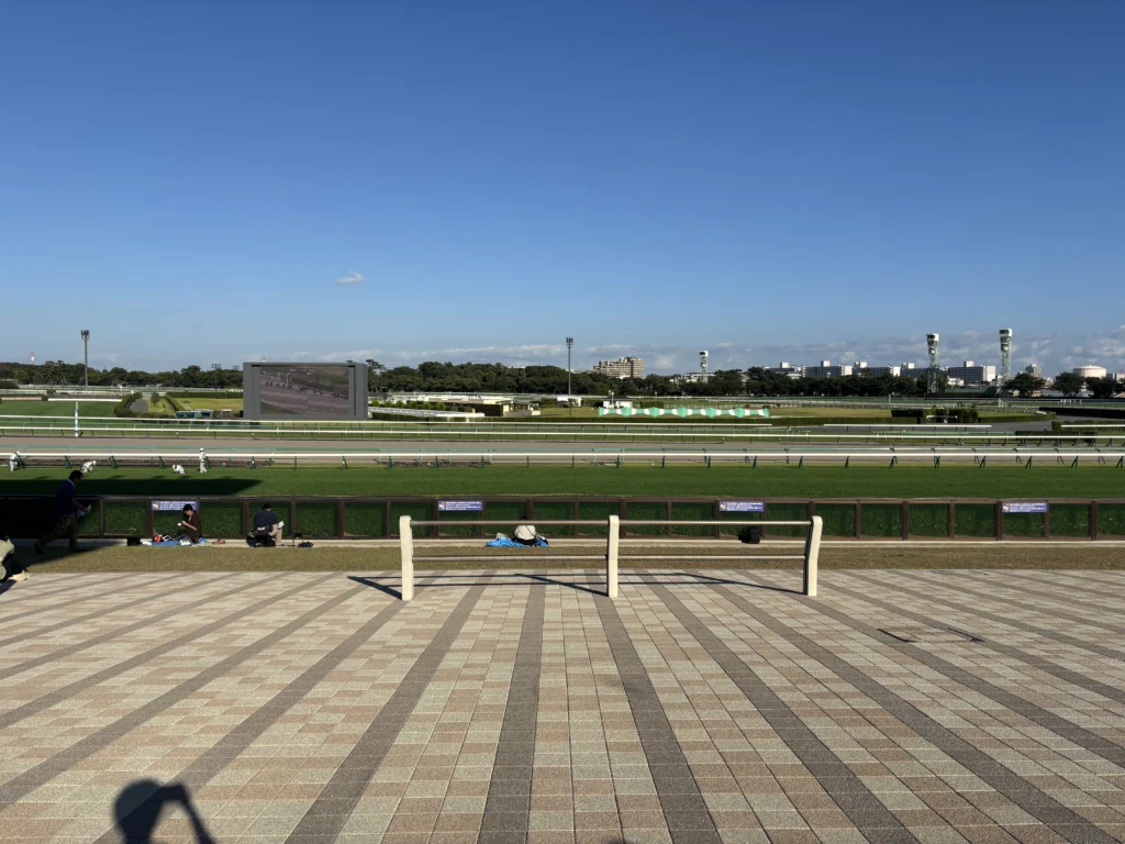 中山競馬場 指定席 おすすめ
